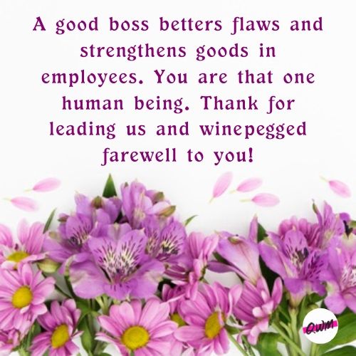 Best Farewell Messages & Wishes for Friends, Boss, Colleagues